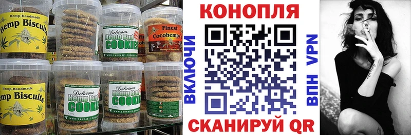 Купить где  Змеиногорск  Canna-Cookies конопля 