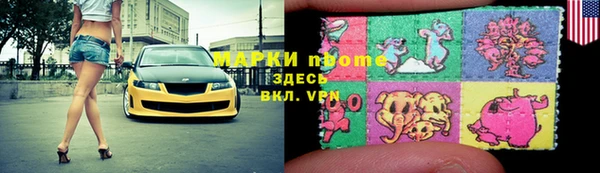 ГАЛЛЮЦИНОГЕННЫЕ ГРИБЫ Козловка