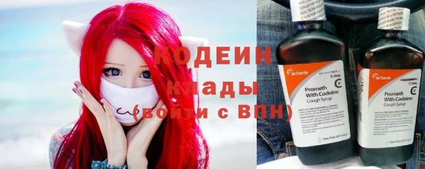 ГАЛЛЮЦИНОГЕННЫЕ ГРИБЫ Козловка