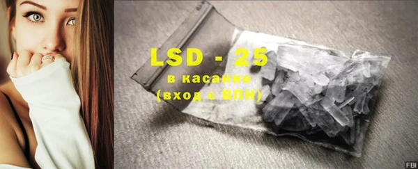 ГАЛЛЮЦИНОГЕННЫЕ ГРИБЫ Козловка