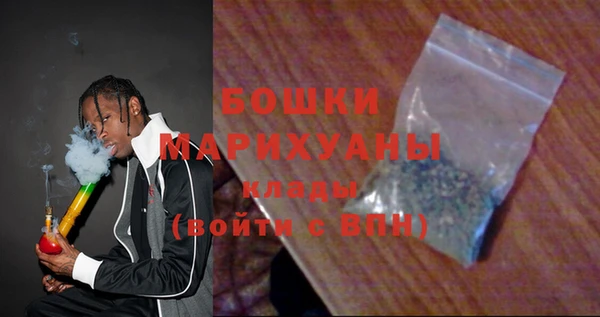 ГАЛЛЮЦИНОГЕННЫЕ ГРИБЫ Козловка