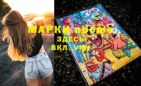 ГАЛЛЮЦИНОГЕННЫЕ ГРИБЫ Козловка