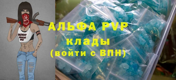 ГАЛЛЮЦИНОГЕННЫЕ ГРИБЫ Козловка