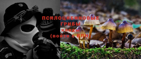 ГАЛЛЮЦИНОГЕННЫЕ ГРИБЫ Козловка