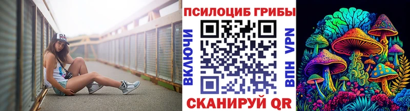 Галлюциногенные грибы GOLDEN TEACHER  Купить  Змеиногорск 